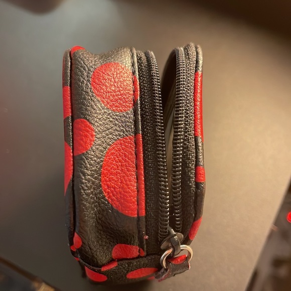 Cute zipper case to hold medications - Picture 6 of 6